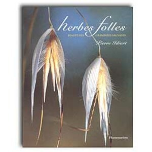 HERBES FOLLES. BEAUTÉ DES GRAMINÉES SAUVAGES