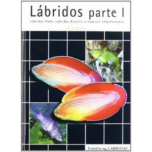 LÁBRIDOS PARTE 1. LÁBRIDOS HADA, LÁBRIDOS ARCOIRIS Y ESPECIES EMPARENTADAS