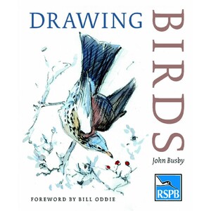 DRAWING BIRDS
