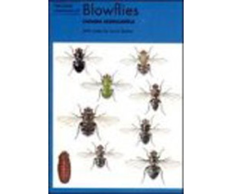NATURALISTS' HANDBOOKS. Nº 23. BLOWFLIES