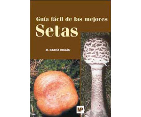 GUÍA FÁCIL DE LAS MEJORES SETAS
