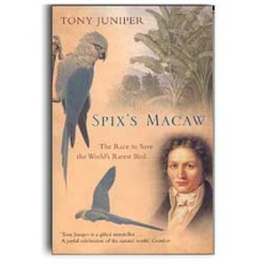 SPIX'S MACAW. THE RACE TO SAVE THE WORLD'S RAREST BIRD