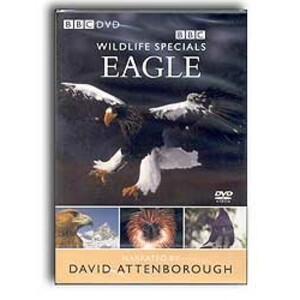 BBC DVD WILDLIFE SPECIALS. EAGLE
