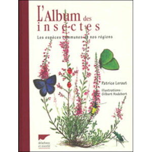 L'ALBUM DES INSECTES. LES ESPÈCES COMMUNES DE NOS RÉGIONS