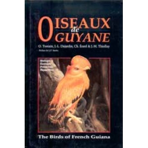 OISEAUX DE GUYANE