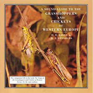 A SOUND GUIDE TO THE GRASSHOPPERS AND CRICKETS OF WESTERN EUROPE