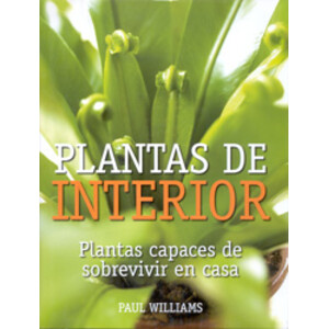 PLANTAS DE INTERIOR. PLANTAS CAPACES DE SOBREVIVIR EN CASA