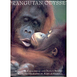 ORANGUTAN ODYSSEY