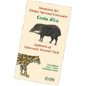MAMÍFEROS DEL PARQUE NACIONAL CORCOVADO COSTA RICA - MAMMALS OF CORCOVADO NATIONAL PARK