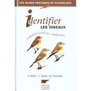 IDENTIFIER LES OISEAUX. COMMENT ÉVITER LES CONFUSIONS