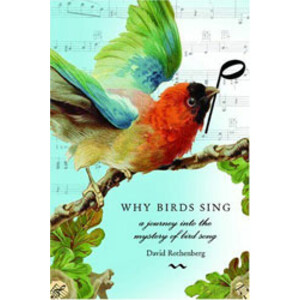 WHY BIRDS SING A JOURNEY INTO THE MYSTERY OF BIRD SONG