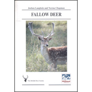 FALLOW DEER