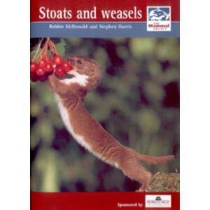 STOATS AND WEASELS