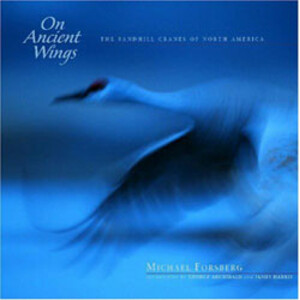 ON ANCIENT WINGS