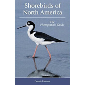 SHOREBIRDS OF NORTH AMERICA. THE PHOTOGRAPHIC GUIDE