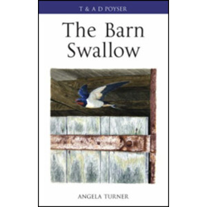 THE BARN SWALLOW