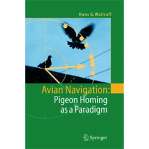 AVIAN NAVIGATION: PIGEON HOMING AS A PARADIGM