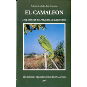 EL CAMALEÓN. UNA ESPECIE EN PELIGRO DE EXTINCIÓN