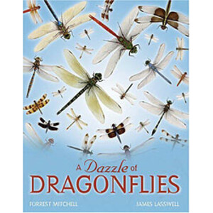 A DAZZLE OF DRAGONFLIES