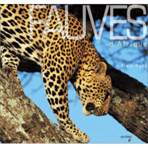 FAUVES D'AFRIQUE