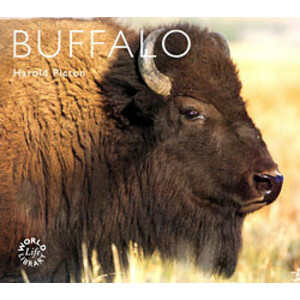 WORLD LIFE LIBRARY. BUFFALO