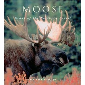 MOOSE. GIANT OF THE NORTHERN FOREST