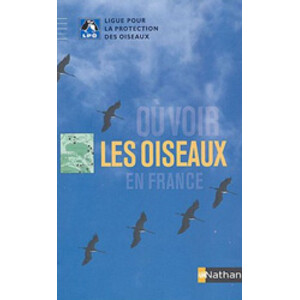 OÙ VOIR LES OISEAUX EN FRANCE