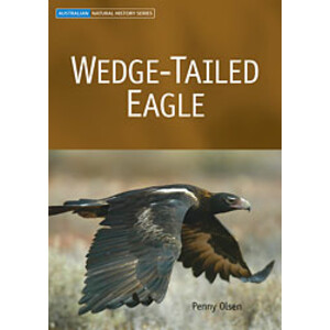 WEDGE-TAILED EAGLE