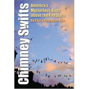 CHIMNEY SWIFTS: AMERICA'S MYSTERIOUS BIRDS ABOVE THE FIREPLACE