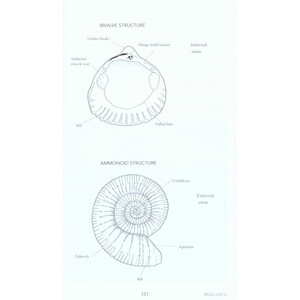 FOSSILS: A PHOTOGRAPHIC FIELD GUIDE 4