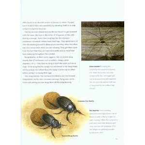 NICK BAKER'S BRITISH WILDLIFE: A MONTH BY MONTH GUIDE 4