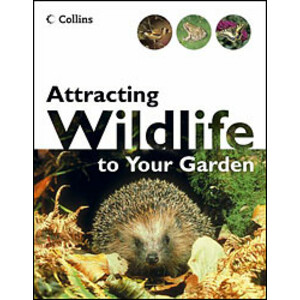 ATTRACTING WILDLIFE TO YOUR GARDEN