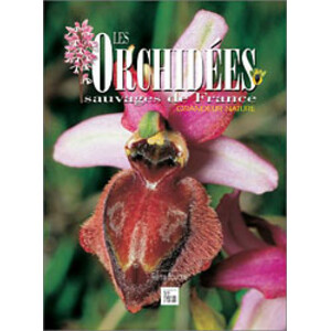 LES ORCHIDÉES SAUVAGES DE FRANCE