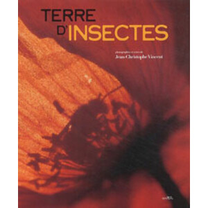 TERRE D'INSECTES