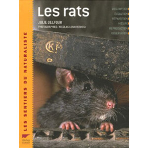LES RATS
