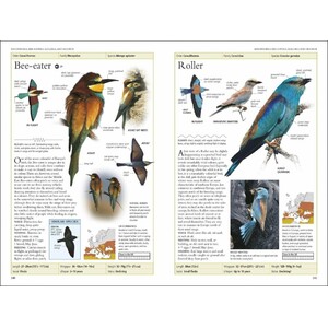 RSPB BIRDS OF BRITAIN AND EUROPE 5