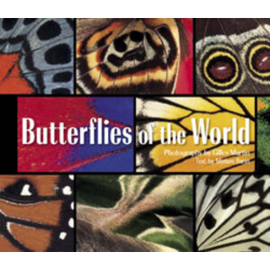 BUTTERFLIES OF THE WORLD