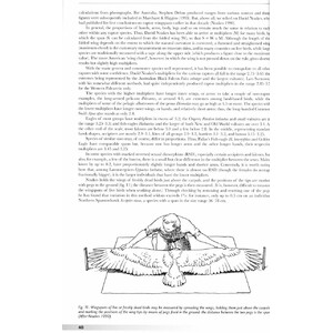 RAPTORS OF THE WORLD. A FIELD GUIDE 5