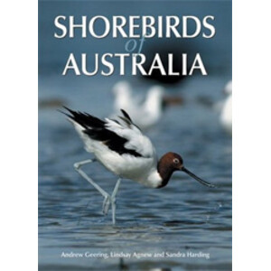 SHOREBIRDS OF AUSTRALIA. THEIR BIOLOGY AND CONSERVATION