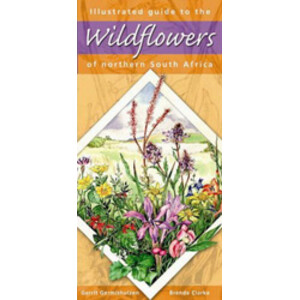 ILLUSTRATED GUIDE TO THE WILDFLOWERS OF NORTHERN SOUTH AFRICA