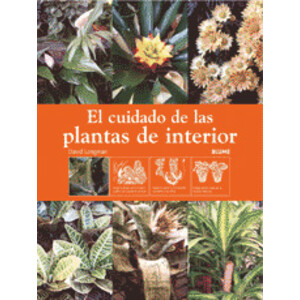 EL CUIDADO DE LAS PLANTAS DE INTERIOR