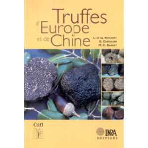 TRUFFES D'EUROPE ET DE CHINE