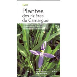 PLANTES DES RIZIÈRES DE CAMARGUE