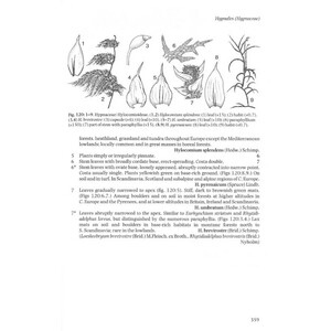 THE LIVERWORTS, MOSSES AND FERNS OF EUROPE 4