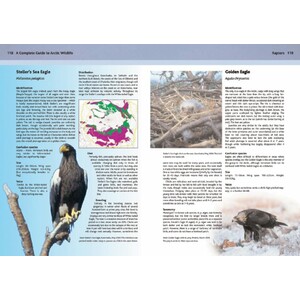 A COMPLETE GUIDE TO ARCTIC WILDLIFE_1