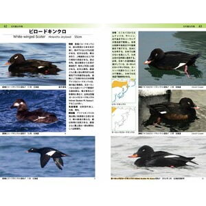 A PHOTOGRAPHIC GUIDE TO THE BIRDS OF JAPAN AND NORTH-EAST ASIA_1