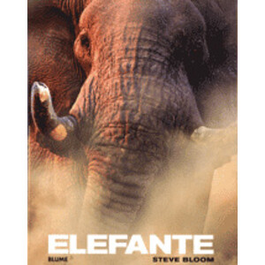 ELEFANTE