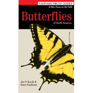KAUFMAN FOCUS GUIDES. BUTTERFLIES OF NORTH AMERICA