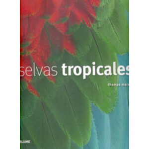 SELVAS TROPICALES