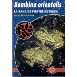 LA RANA DE VIENTRE DE FUEGO. BOMBINA ORIENTALIS